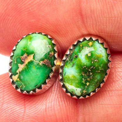 Sonoran Gold Turquoise Earrings 3/8" (.925 Sterling Silver)