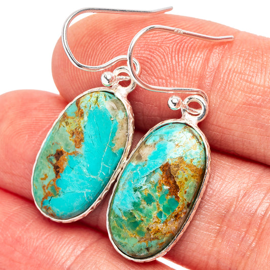 Sterling silver turquoise oval drop earrings with teardrop dangle stones