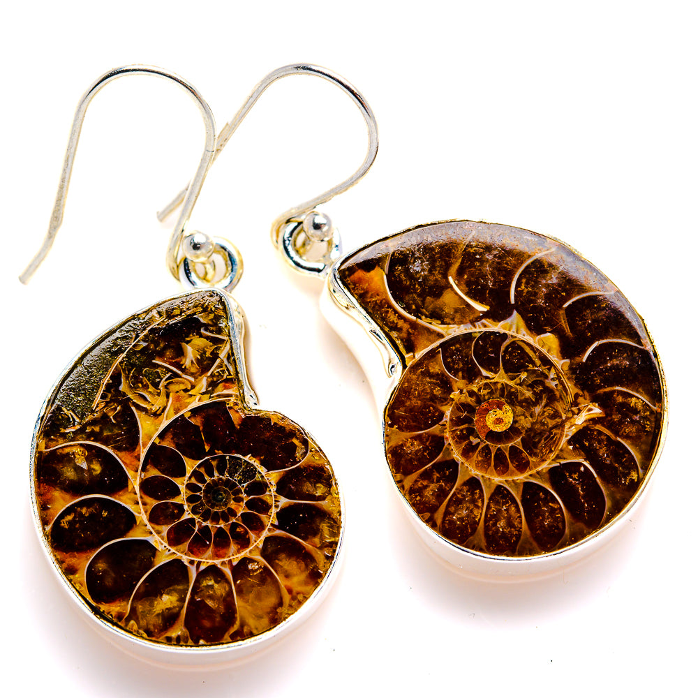 Ammonite Fossil Earrings 1 1/2" (925 Sterling Silver) EARR432095