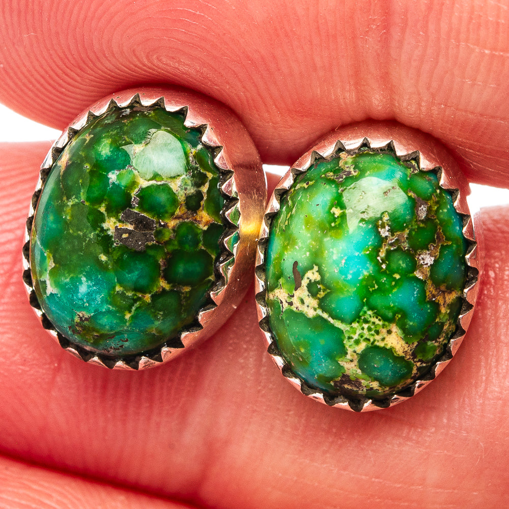 Sonoran Gold Turquoise Earrings 1/2" (.925 Sterling Silver)