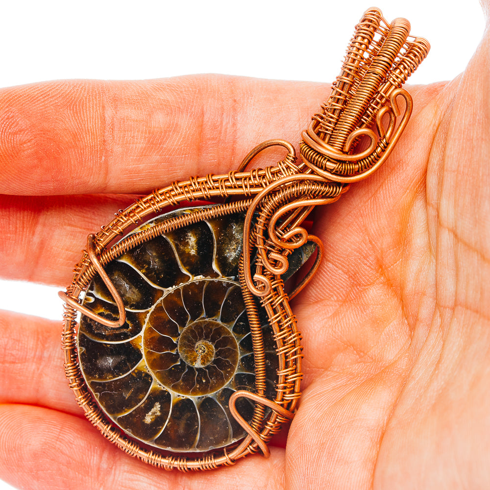 Ammonite Fossil Wire Wrap Pendant 3" (Copper)