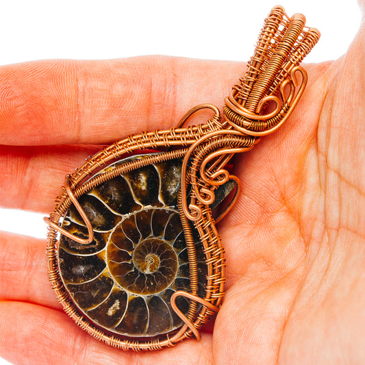 Ammonite Fossil Wire Wrap Pendant 3" (Copper)