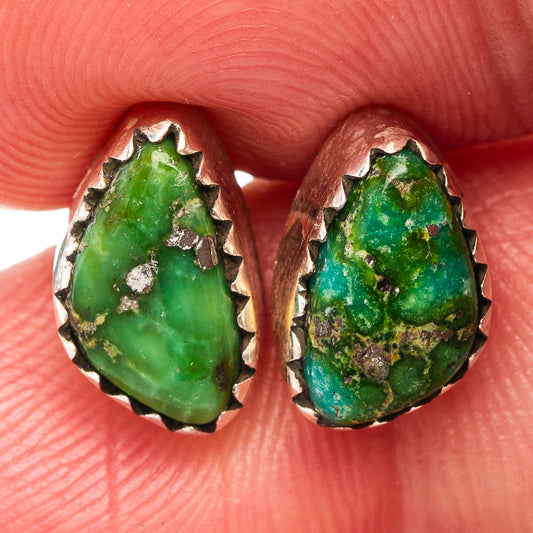 Sonoran Gold Turquoise Earrings 3/8" (.925 Sterling Silver)