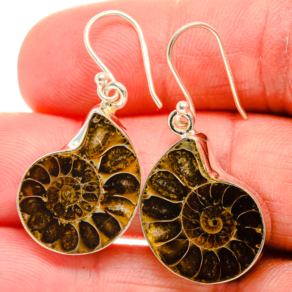 Ammonite Fossil Earrings 1 1/2" (925 Sterling Silver) EARR432085