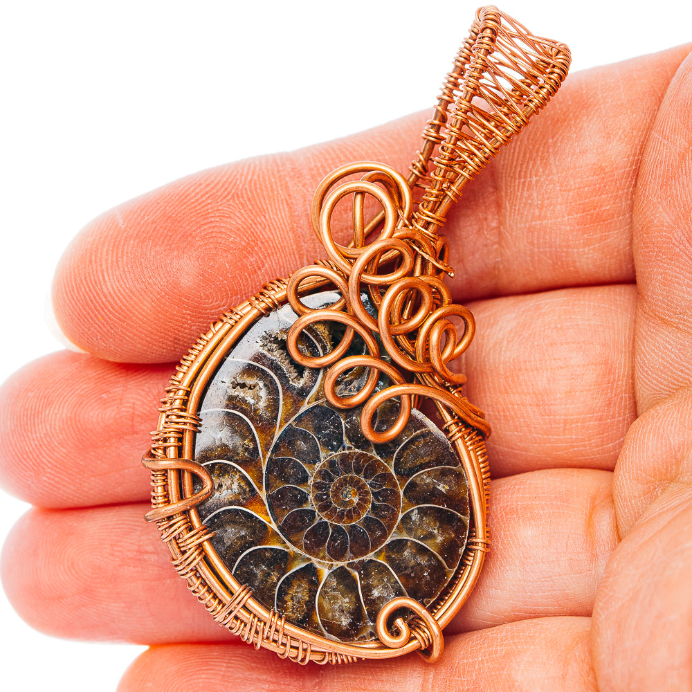 Ammonite Fossil Wire Wrap Pendant 2 3/8" (Copper)