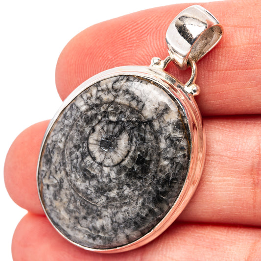 Oval horn coral fossil pendant in .925 sterling silver bezel, black and gray close-up
