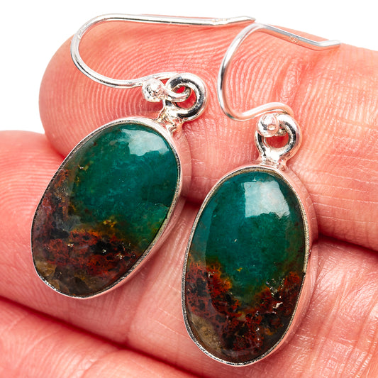 Sterling silver hook earrings with oval green opalized wood inlay, silver border