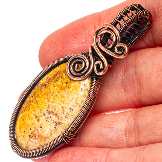 Fossil coral wire-wrap pendant with teardrop fossil stone, oxidized copper wire loops