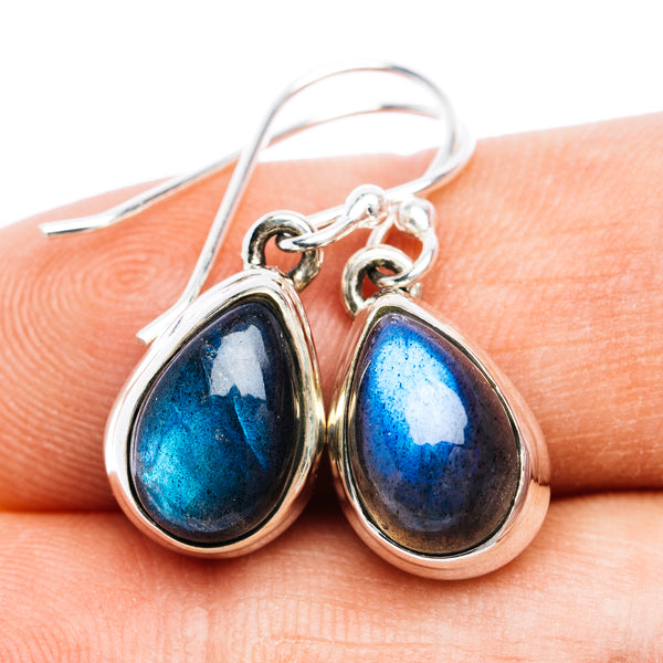 Labradorite Earrings 1 1/8" (.925 Sterling Silver)