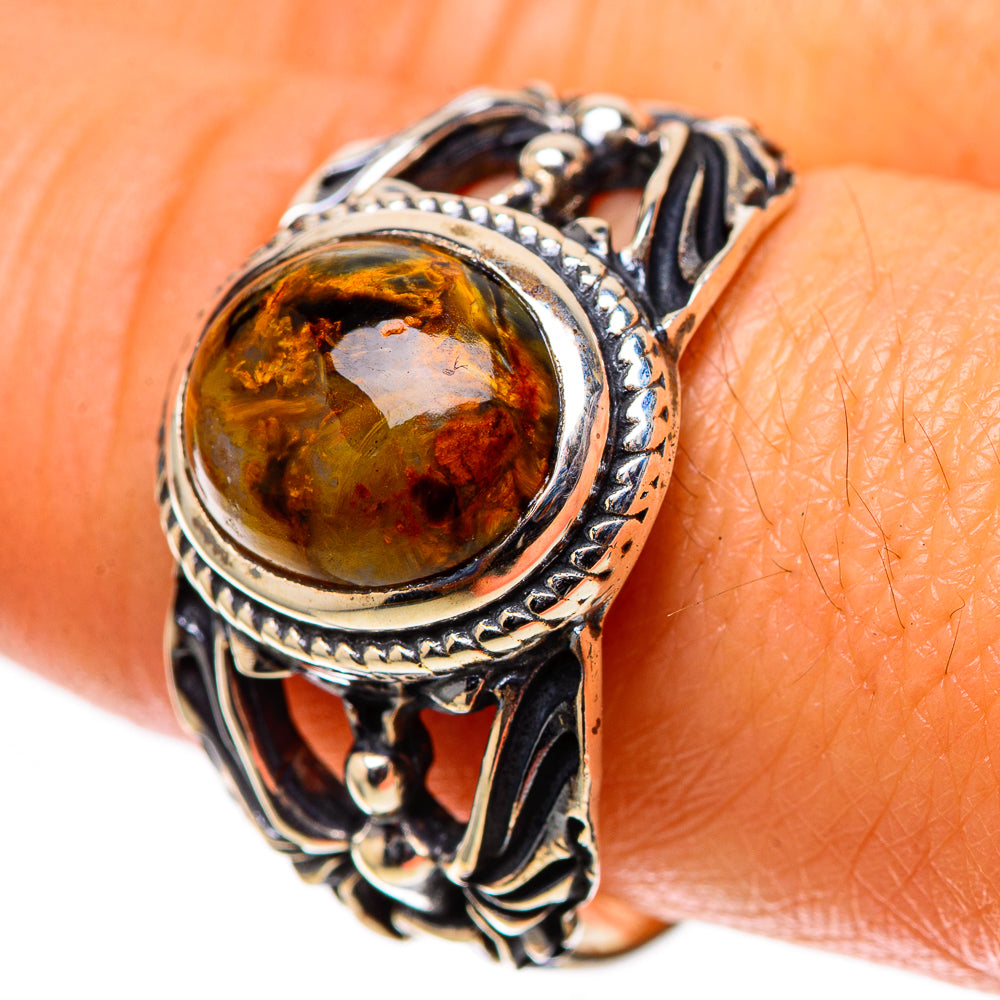 Golden Pietersite Ring Size 10 (925 Sterling Silver) RING138712