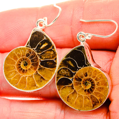 Ammonite Fossil Earrings 1 1/2" (925 Sterling Silver) EARR432086