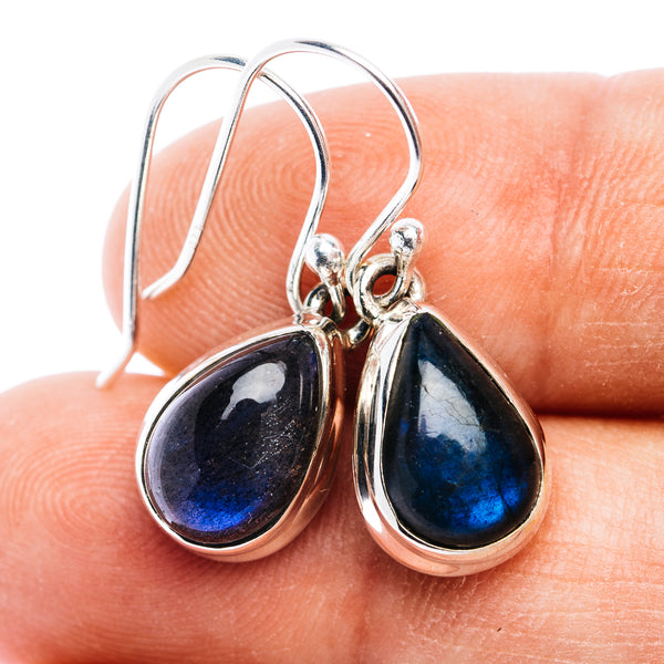 Labradorite Earrings 1 1/8" (.925 Sterling Silver)