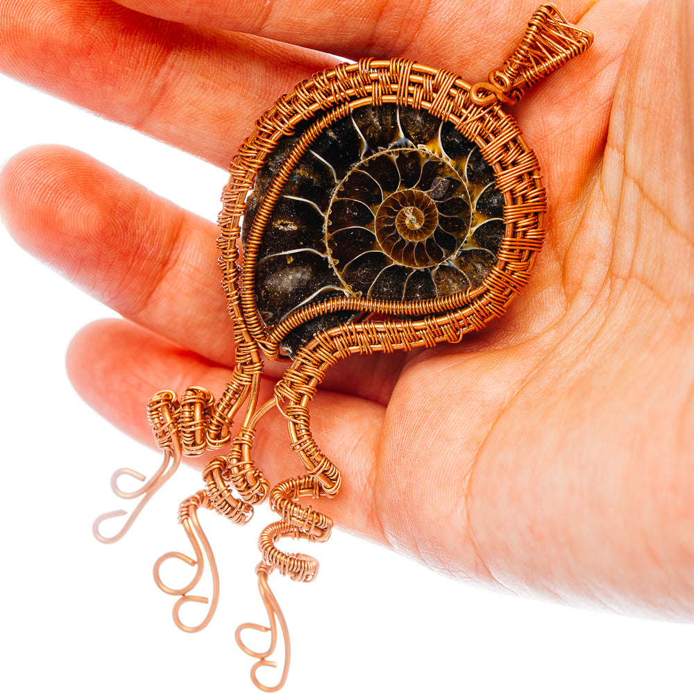 Ammonite Fossil Wire Wrap Pendant 3 5/8" (Copper)