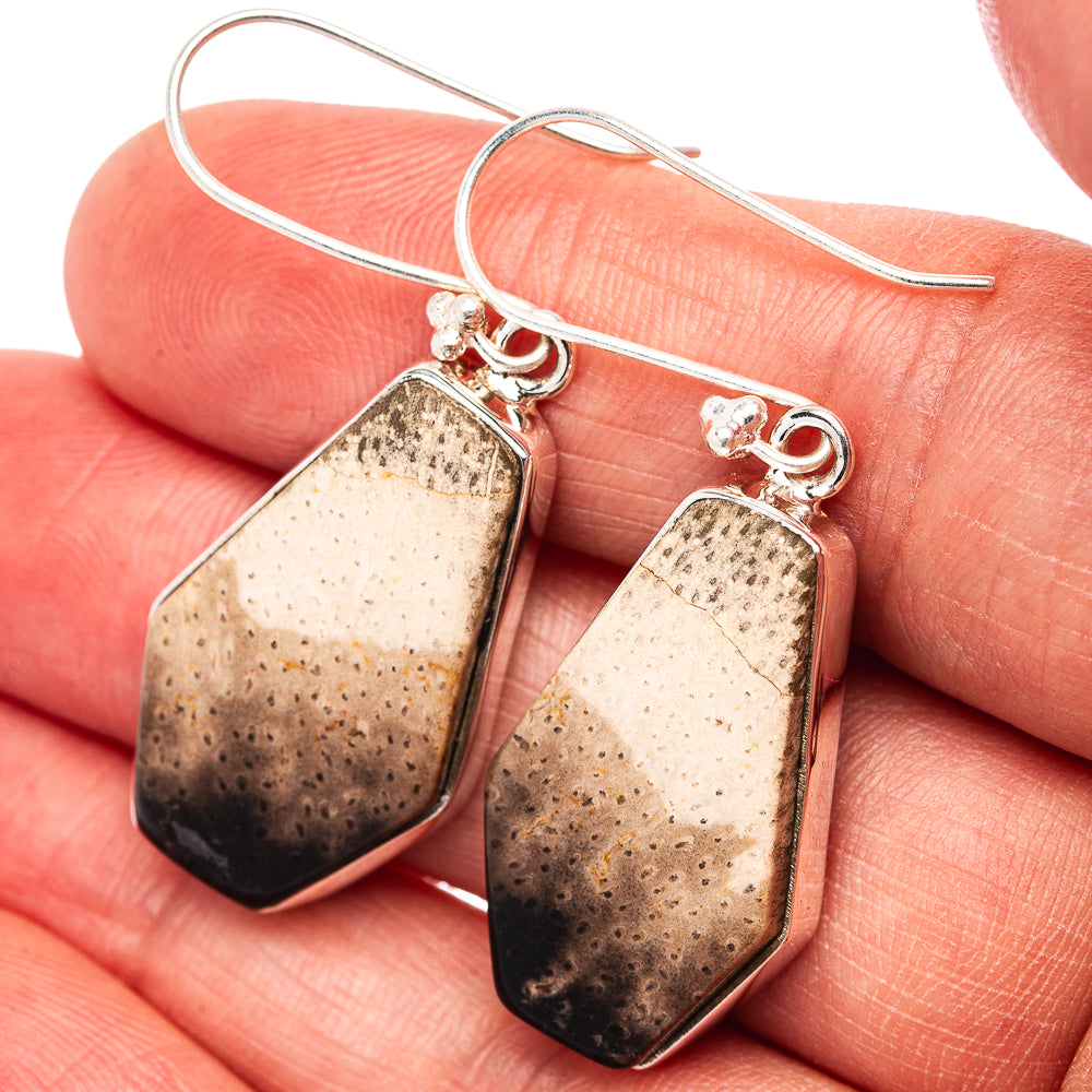Premium Palm Root Agate Earrings 1 7/8" (.925 Sterling Silver)