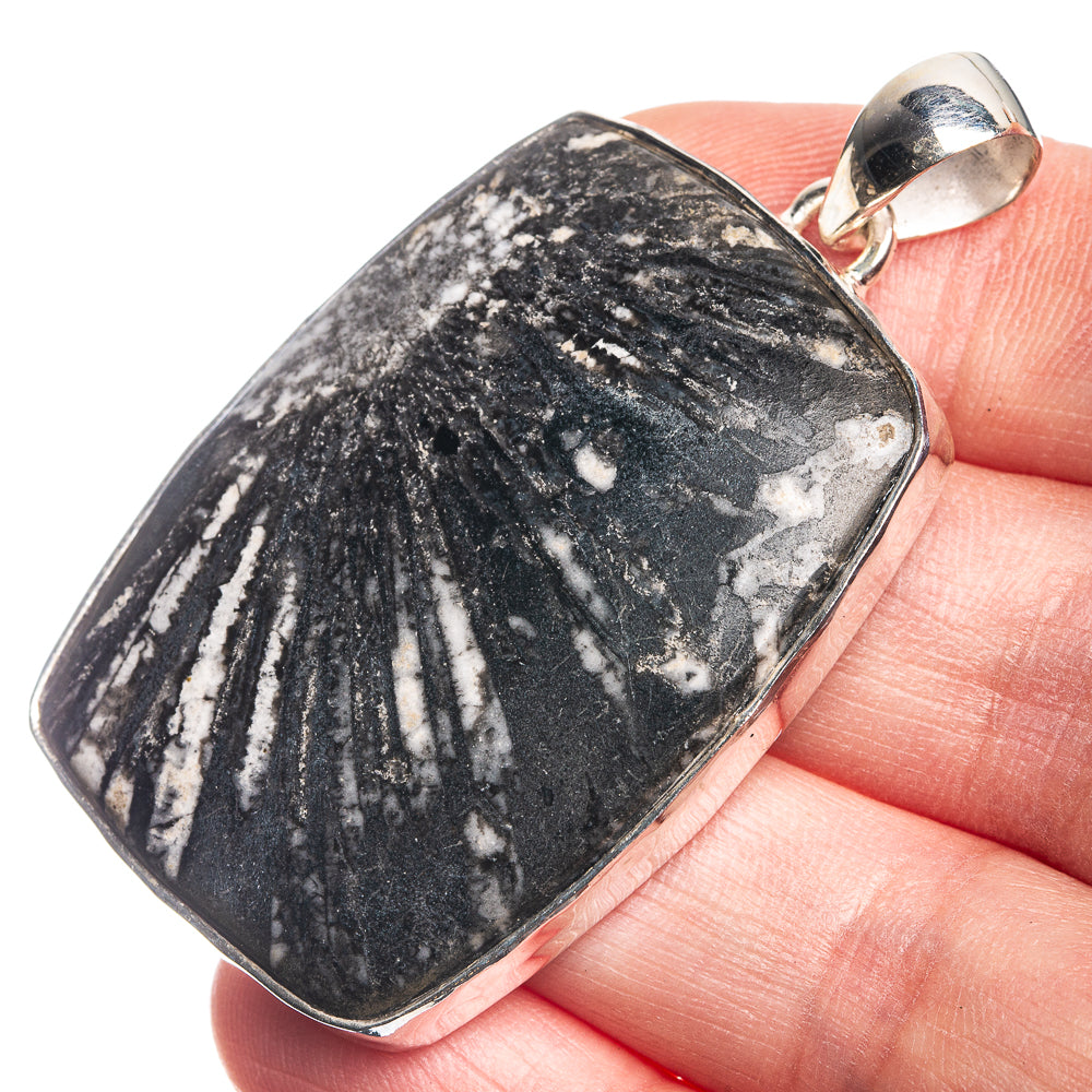 Large Chrysanthemum Stone 925 Sterling Silver Pendant 2 1/8"