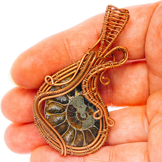 Ammonite Fossil Wire Wrap Pendant 2 3/8" (Copper)