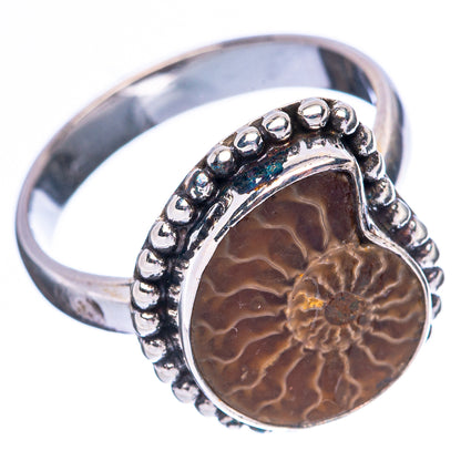 Ammonite Fossil 925 Sterling Silver Ring Size 7 (925 Sterling Silver) R3846