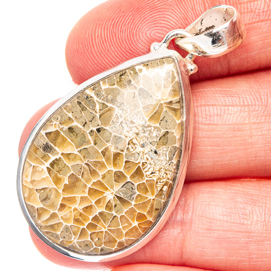 Agatized Fossil Coral Pendant 1 3/4" (.925 Sterling Silver)