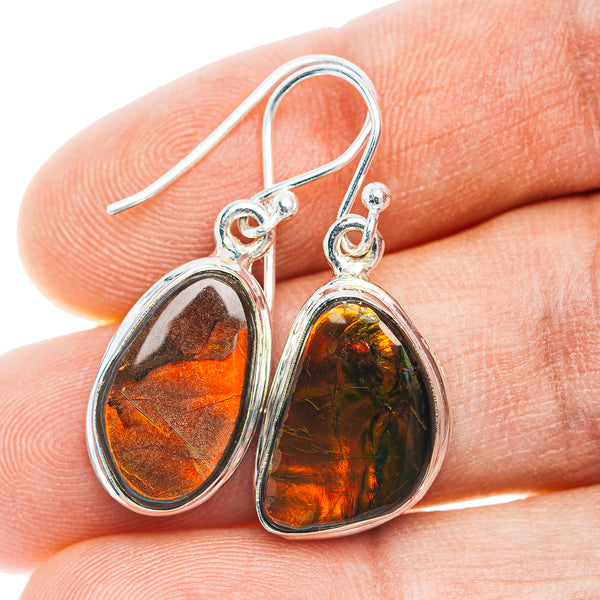 Premium Canadian Ammolite Earrings 1 3/8" (.925 Sterling Silver)