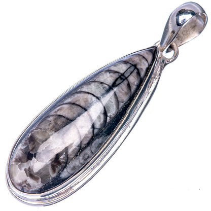 Orthoceras Fossil Pendant 1 3/4" (925 Sterling Silver) P40807