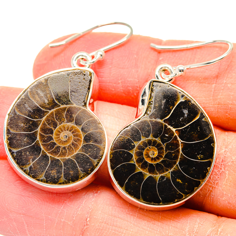 Ammonite Fossil Earrings handcrafted by Ana Silver Co - EARR423644
