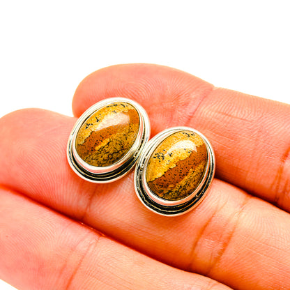 Oval picture jasper stud earrings, polished 925 sterling silver frames