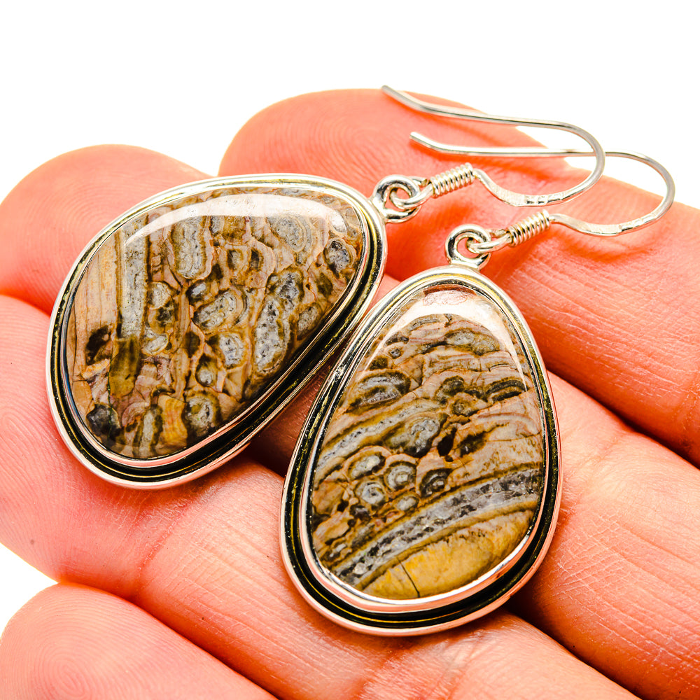Chert Breccia Earrings handcrafted by Ana Silver Co - EARR411608