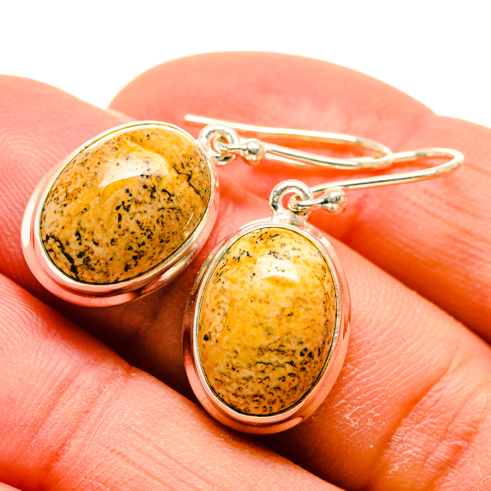 Oval picture jasper earrings with silver oval frame and fishhook backs