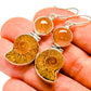 Ammonite Fossil Earrings handcrafted by Ana Silver Co - EARR415911