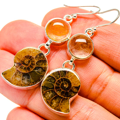 Ammonite Fossil Earrings handcrafted by Ana Silver Co - EARR416104