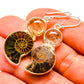 Ammonite Fossil, Rutilated Quartz Earrings handcrafted by Ana Silver Co - EARR416336