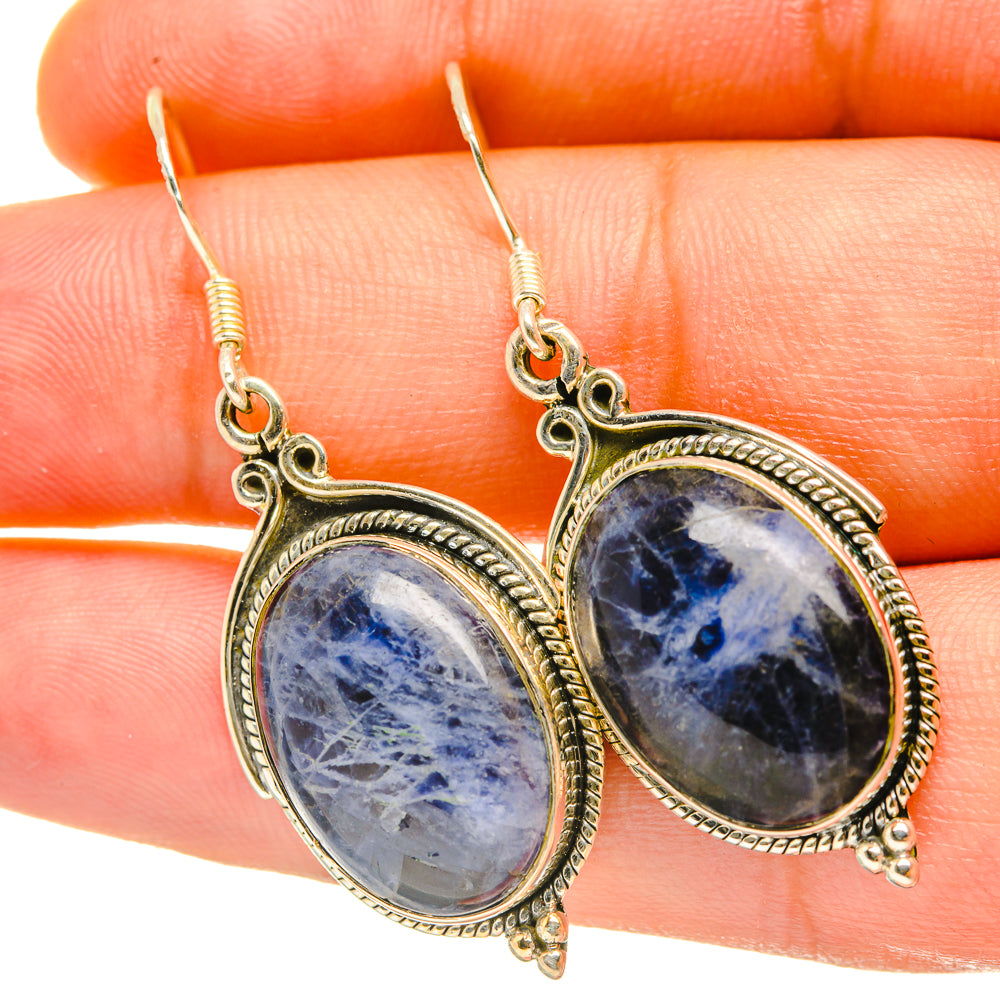 Sodalite oval drop earrings with silver-tone frames, blue stone with veined pattern