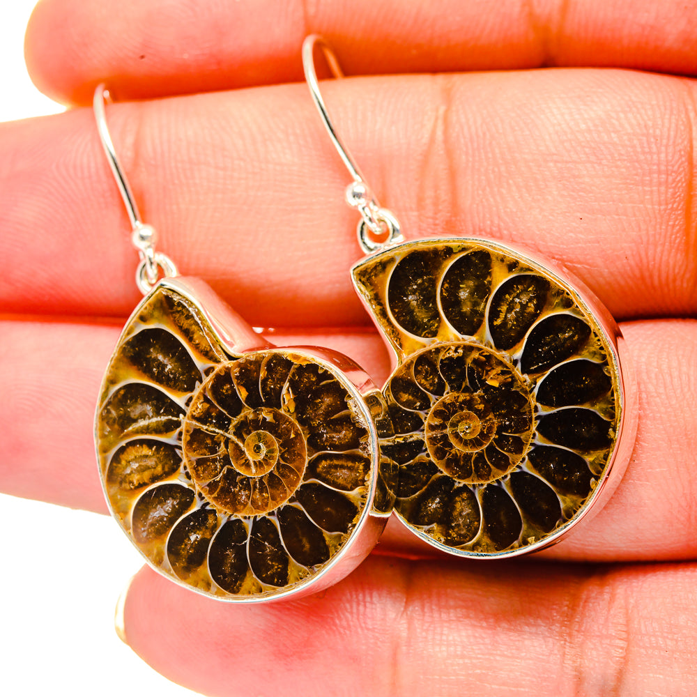 Ammonite Fossil Earrings handcrafted by Ana Silver Co - EARR419314