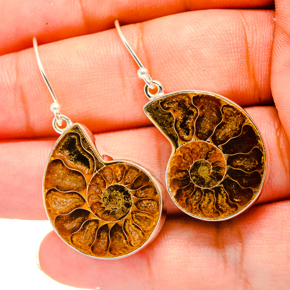 Ammonite Fossil Earrings handcrafted by Ana Silver Co - EARR419318