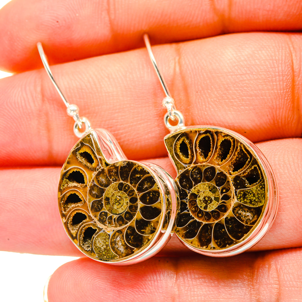 Ammonite Fossil Earrings handcrafted by Ana Silver Co - EARR419334