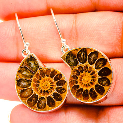 Ammonite Fossil Earrings handcrafted by Ana Silver Co - EARR419350