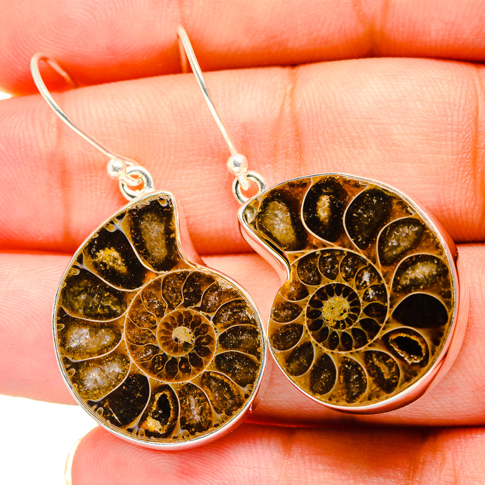 Ammonite Fossil Earrings handcrafted by Ana Silver Co - EARR419354