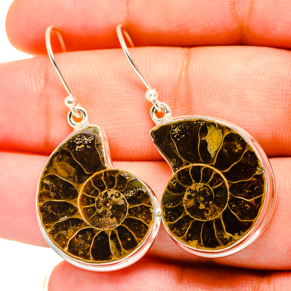 Ammonite Fossil Earrings handcrafted by Ana Silver Co - EARR419356