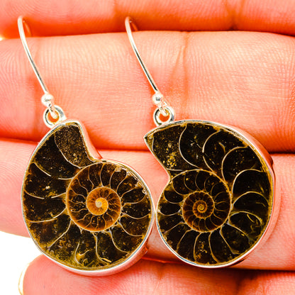 Ammonite Fossil Earrings handcrafted by Ana Silver Co - EARR419378