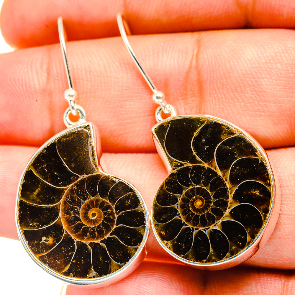 Ammonite Fossil Earrings handcrafted by Ana Silver Co - EARR419386
