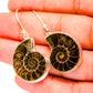 Ammonite Fossil Earrings handcrafted by Ana Silver Co - EARR419412