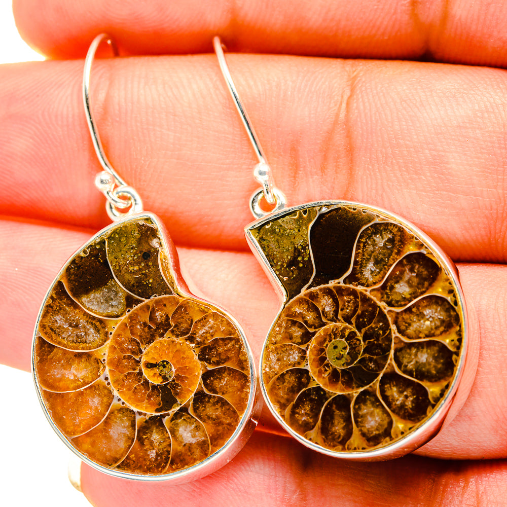 Ammonite Fossil Earrings handcrafted by Ana Silver Co - EARR419421