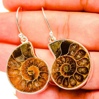 Ammonite Fossil Earrings handcrafted by Ana Silver Co - EARR419421