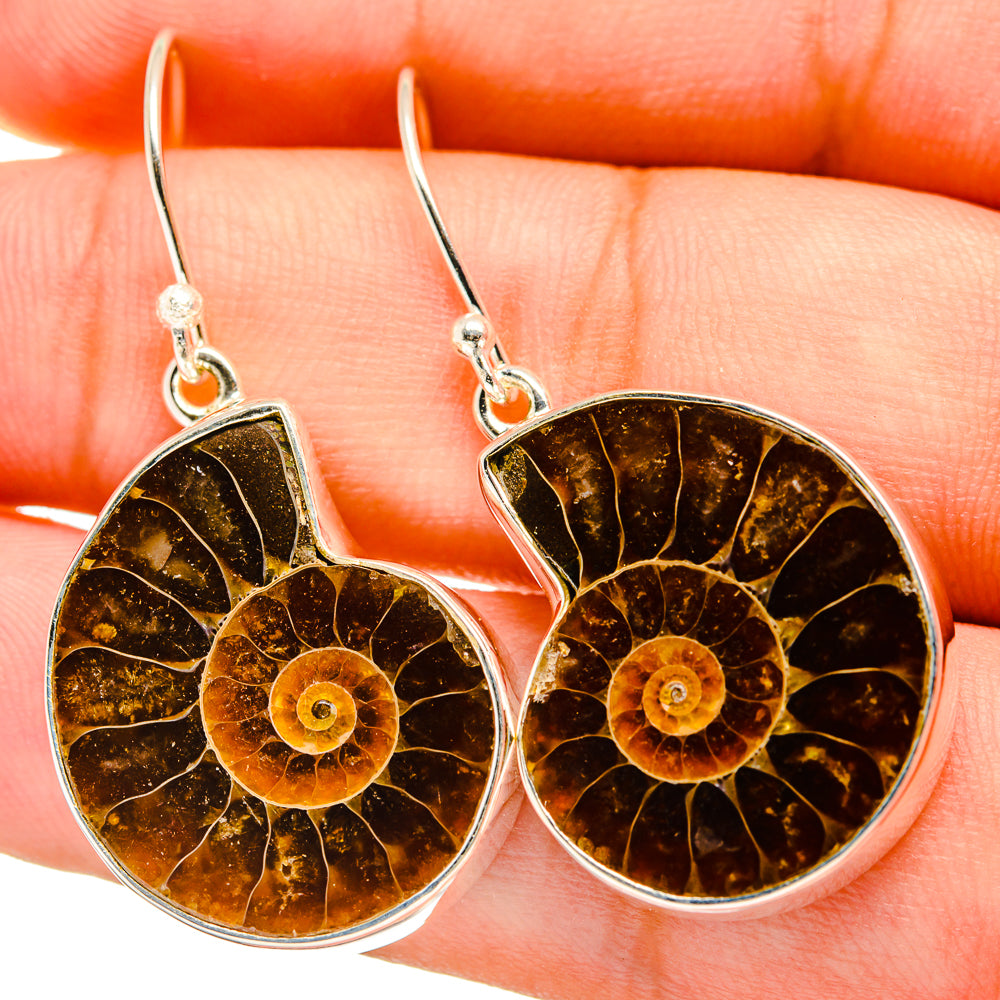 Ammonite Fossil Earrings handcrafted by Ana Silver Co - EARR419429