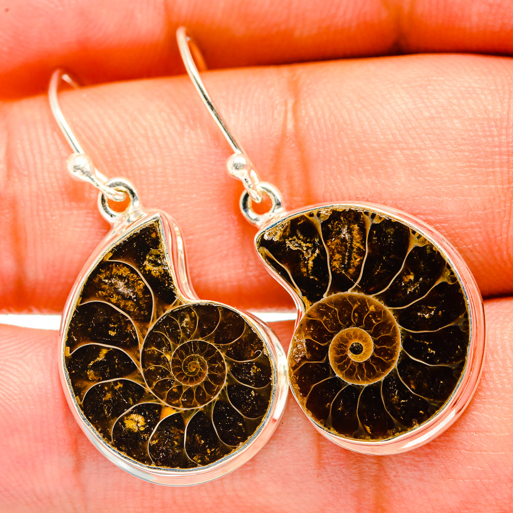 Ammonite Fossil Earrings handcrafted by Ana Silver Co - EARR419439
