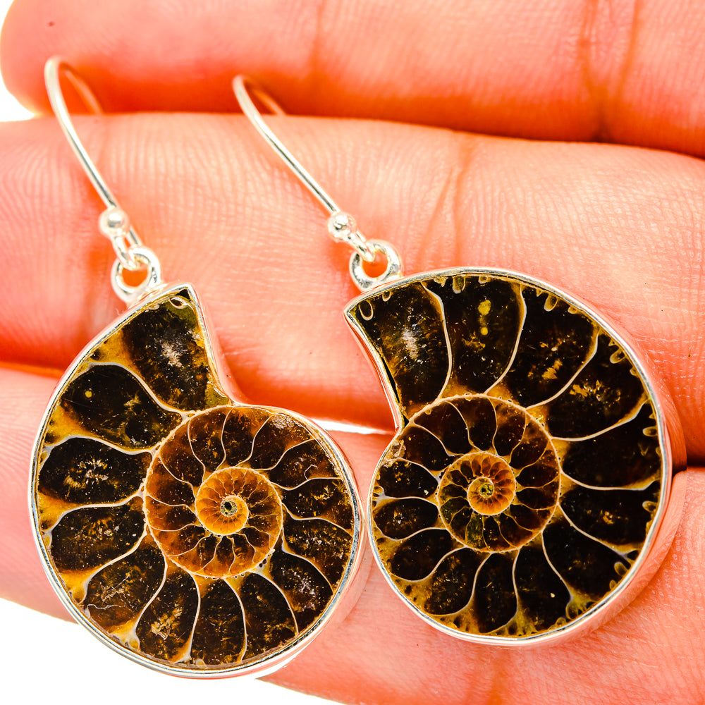 Ammonite Fossil Earrings handcrafted by Ana Silver Co - EARR419459