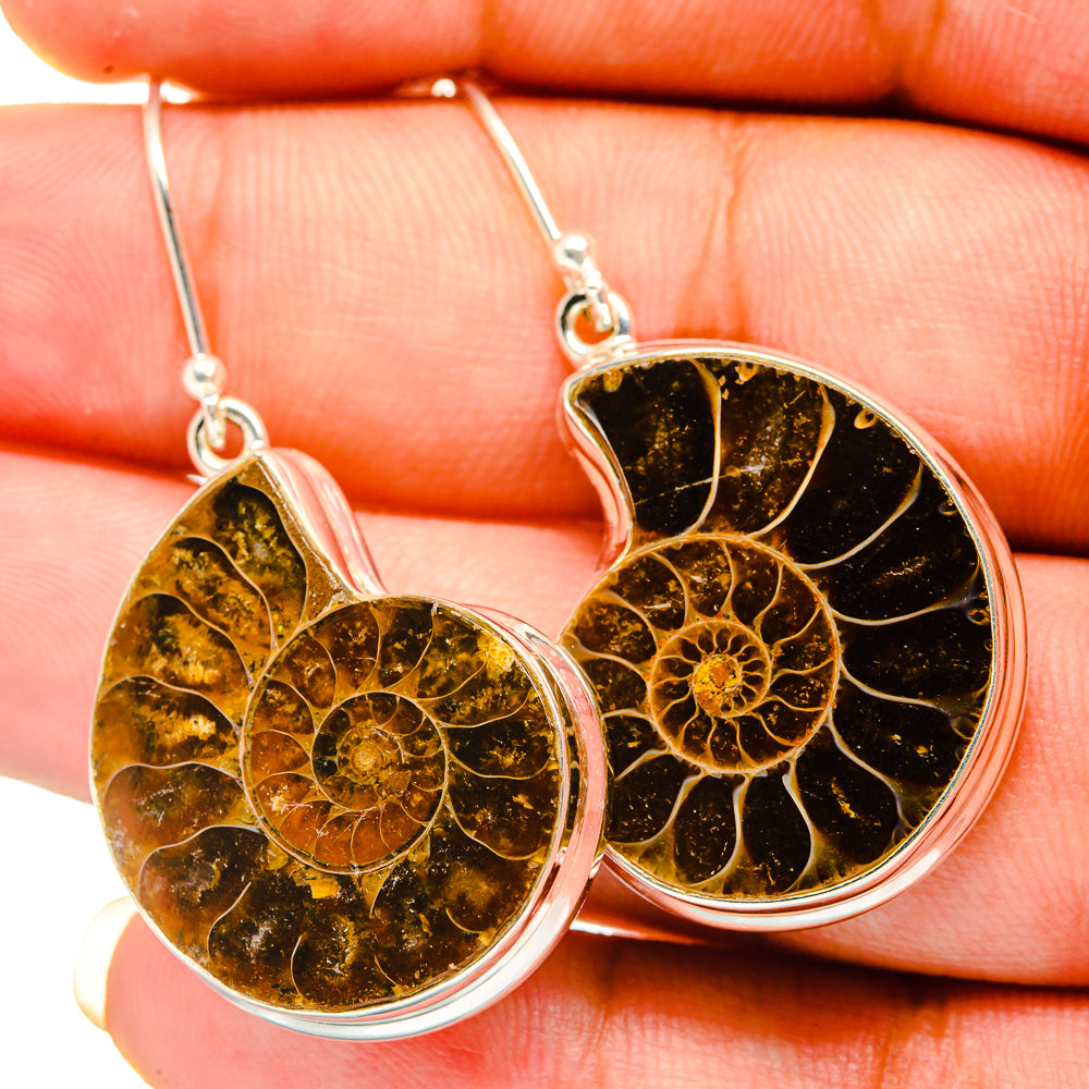 Ammonite Fossil Earrings handcrafted by Ana Silver Co - EARR419483