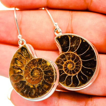 Ammonite Fossil Earrings handcrafted by Ana Silver Co - EARR419483