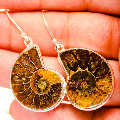 Ammonite Fossil Earrings handcrafted by Ana Silver Co - EARR419505