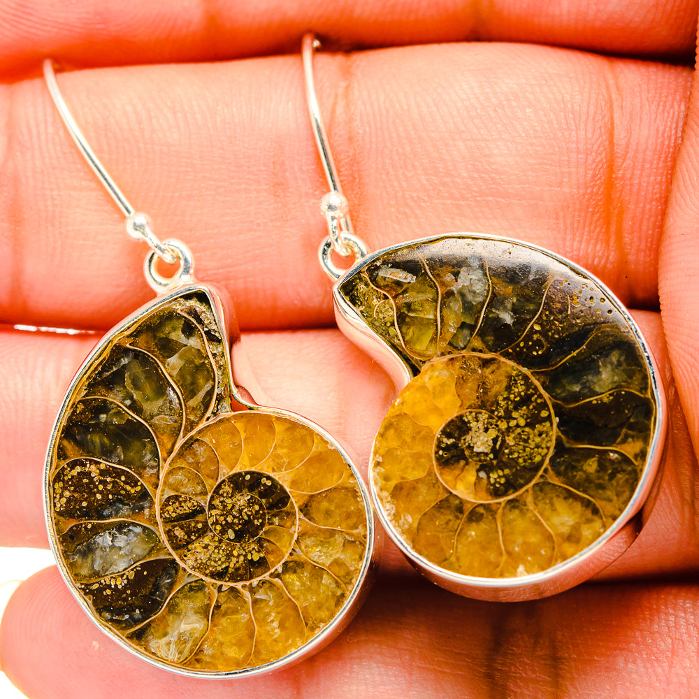 Ammonite Fossil Earrings handcrafted by Ana Silver Co - EARR419508